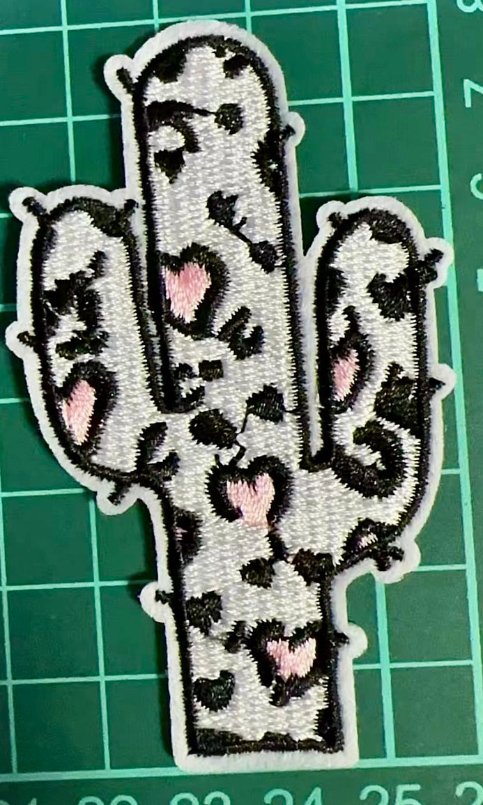 2.5” Boho Cactus