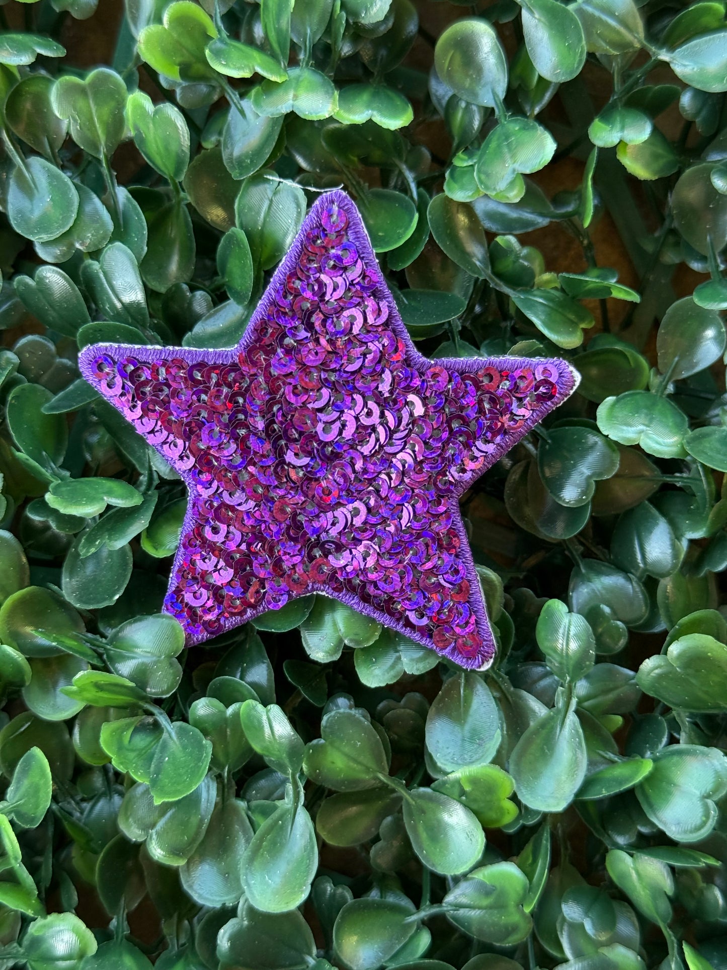 2.5” Sequin Stars