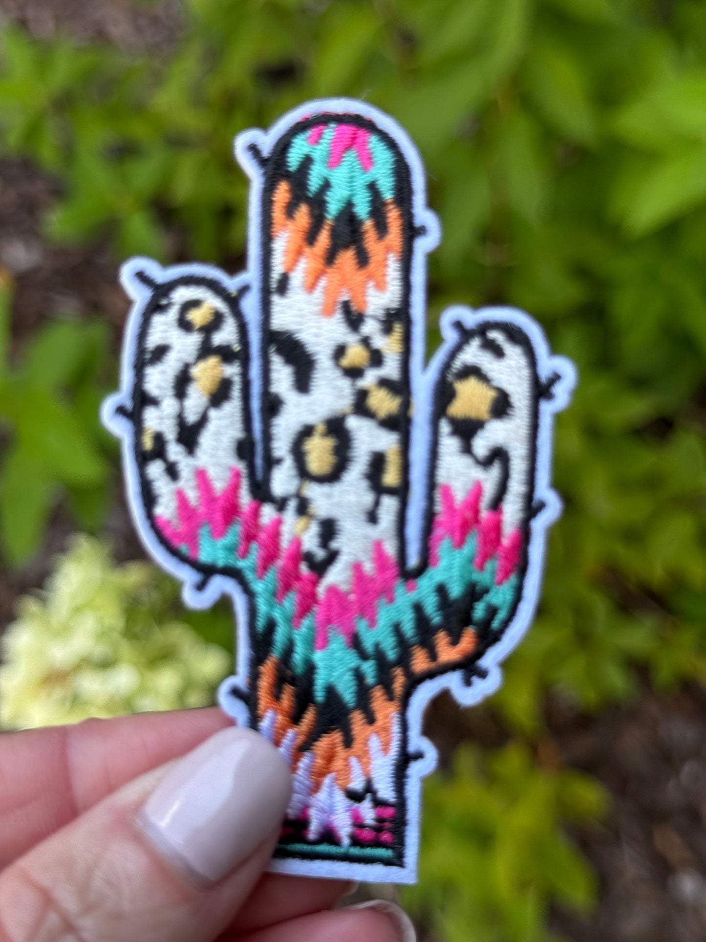 2.5” Boho Cactus