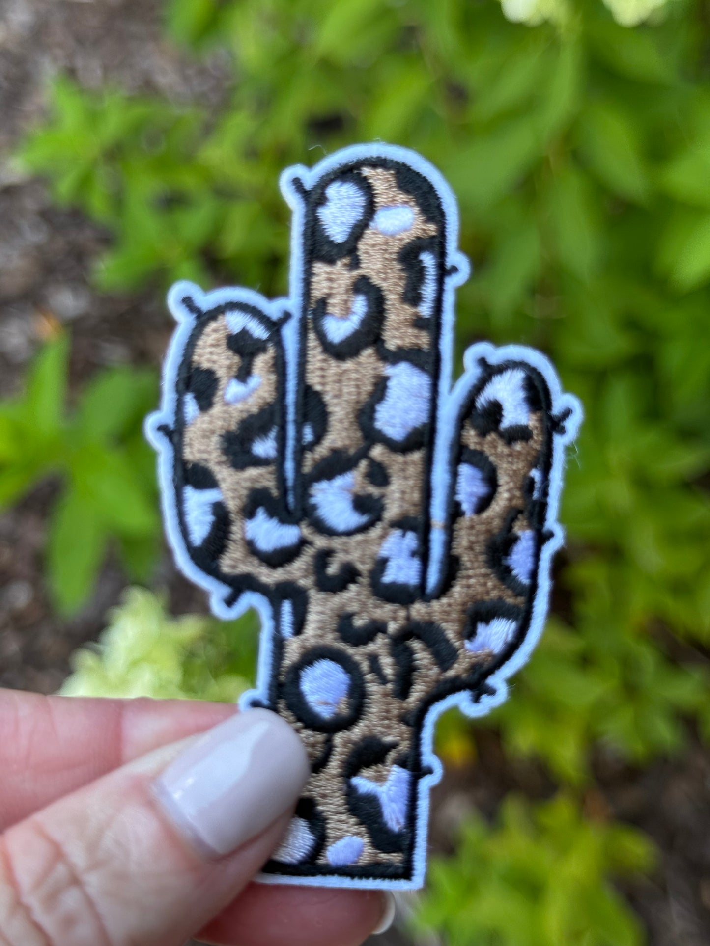 2.5” Boho Cactus