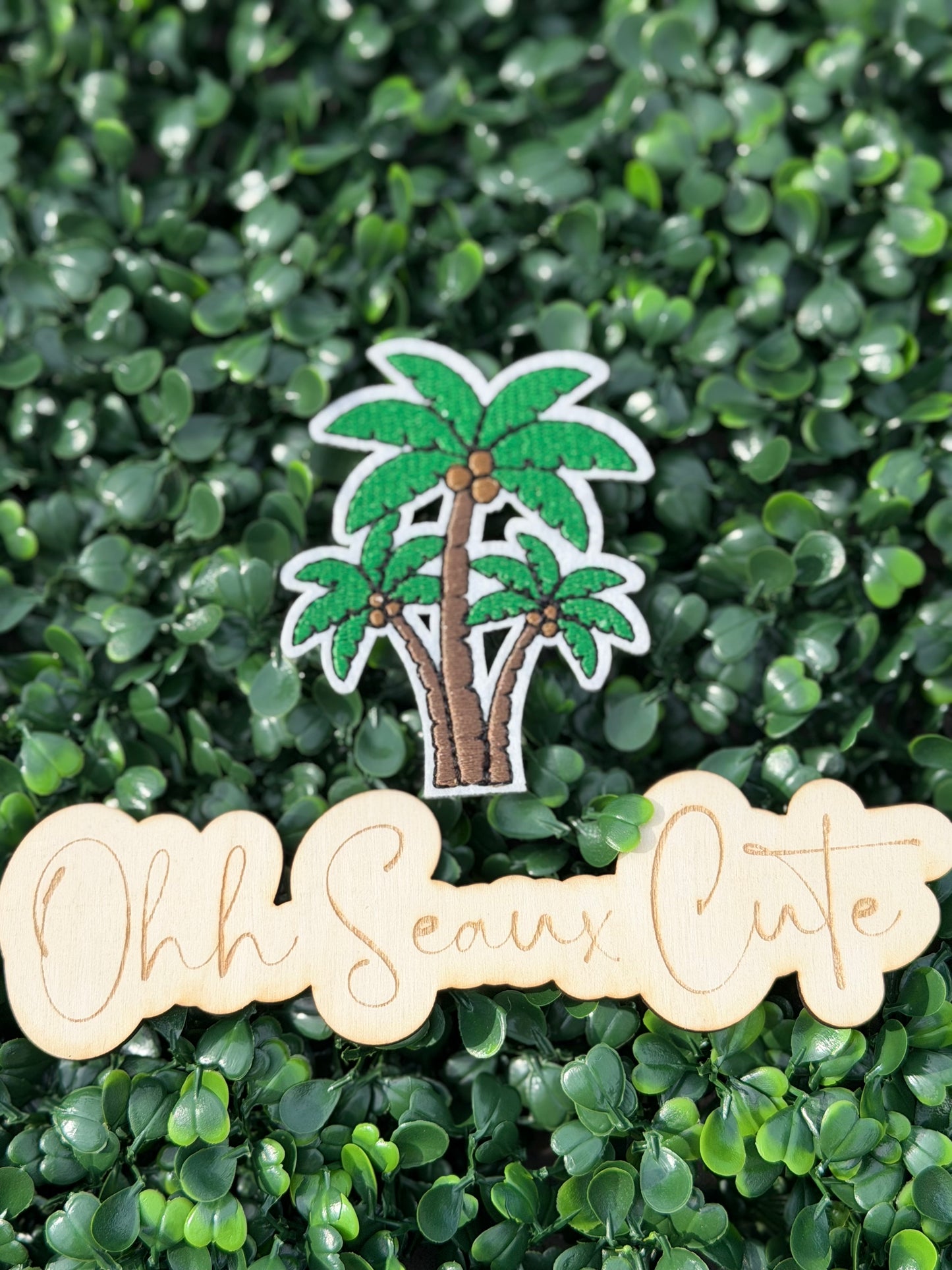 3.5” Palm Tree Trio