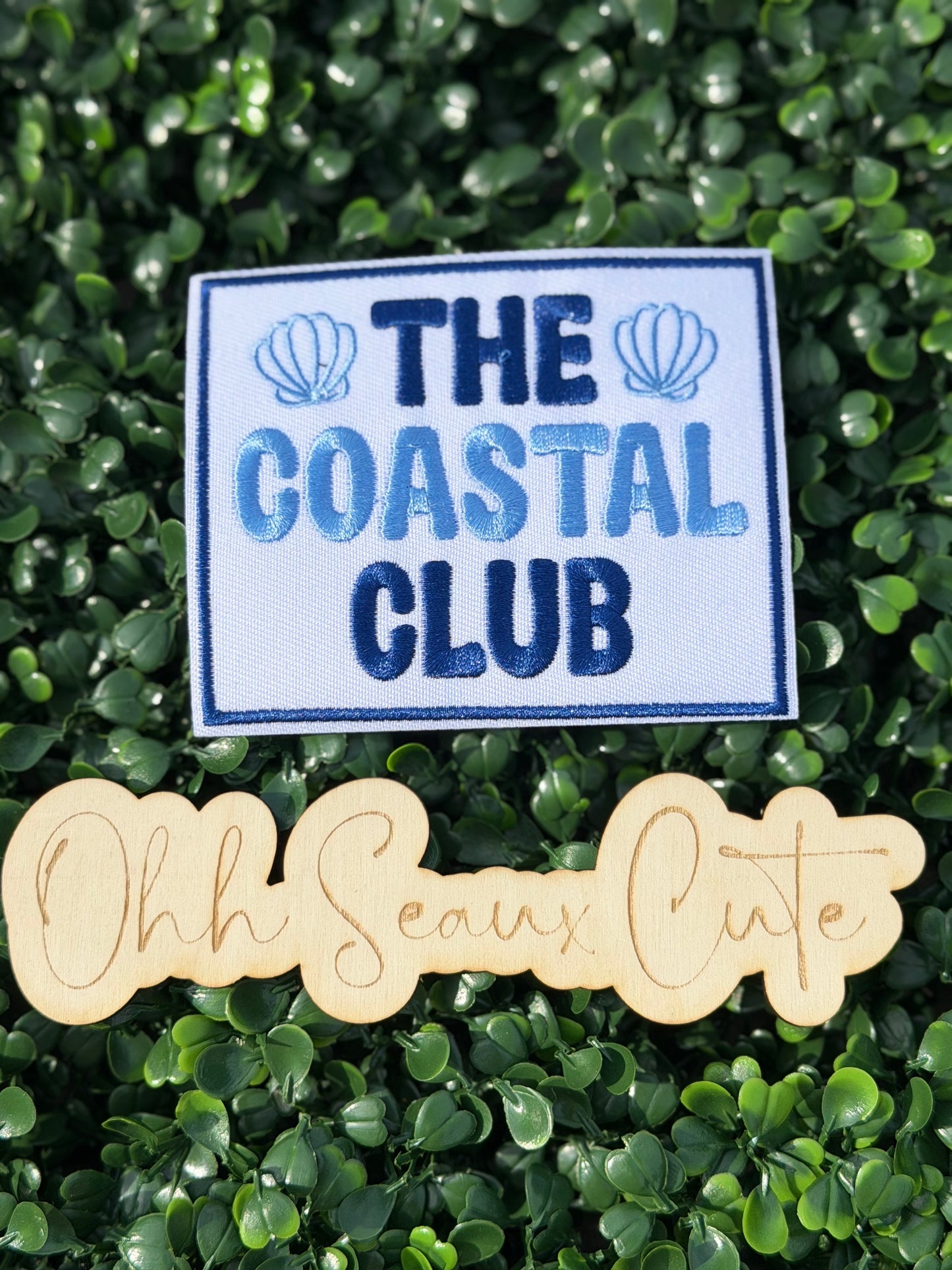4” Seashell COASTAL CLUB