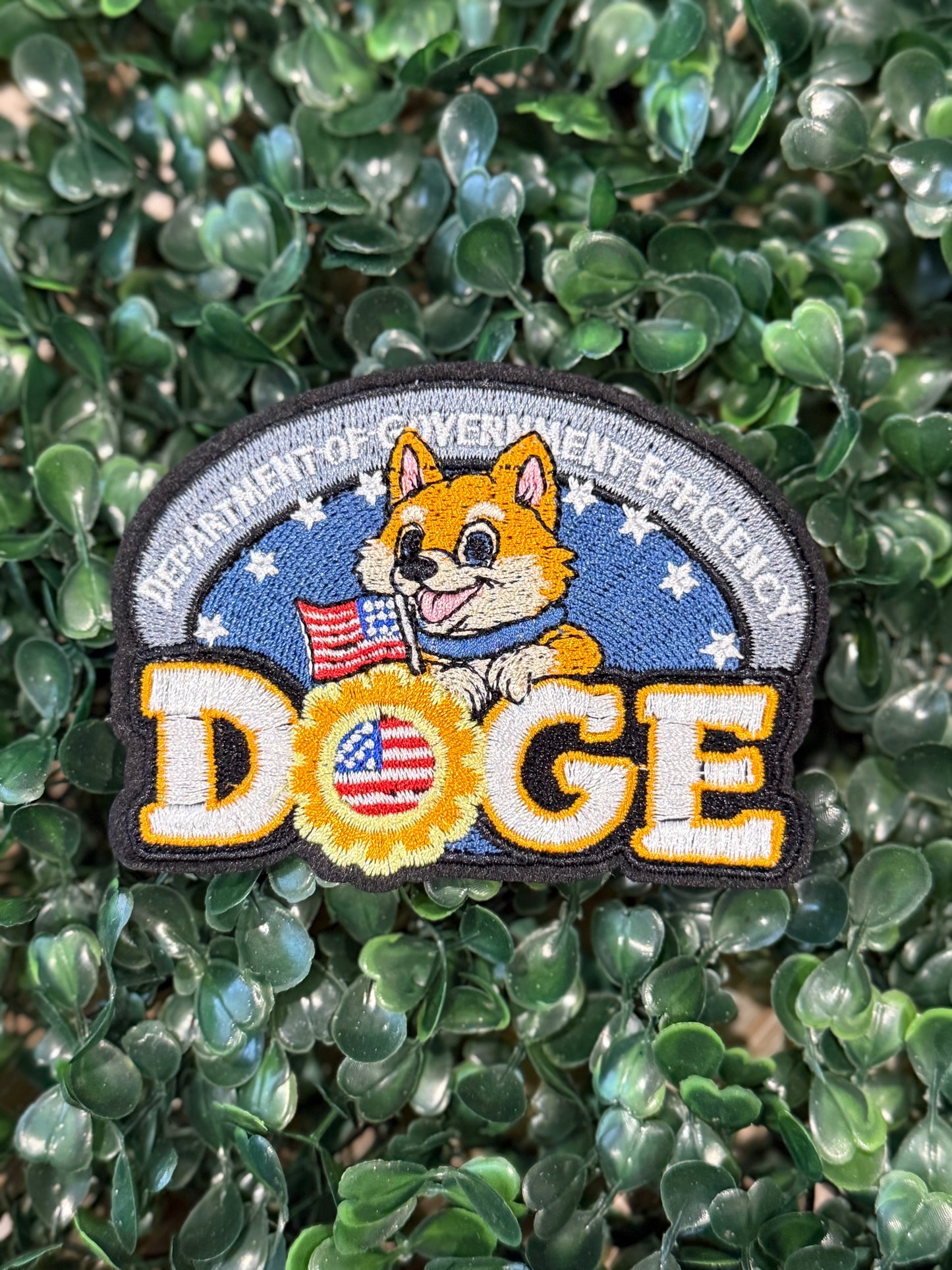 3.5” D O G E
