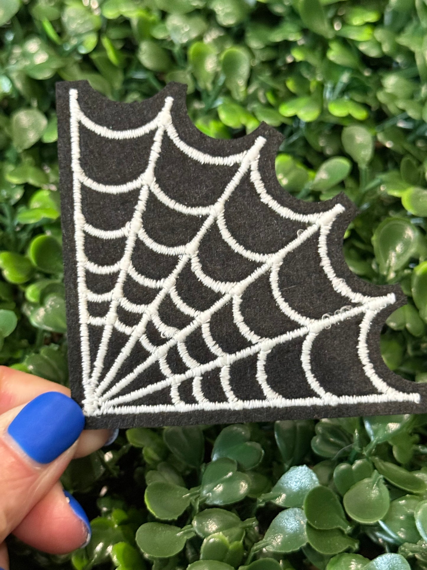 2.5” Glow Spider Web