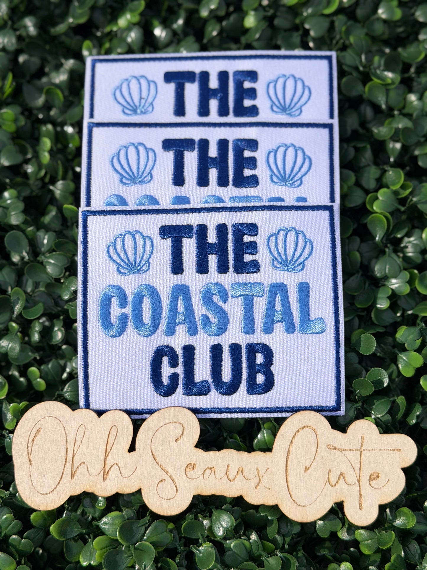 4” Seashell COASTAL CLUB