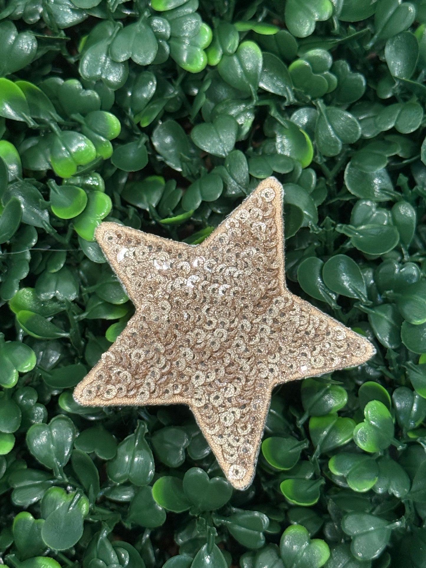 2.5” Sequin Stars