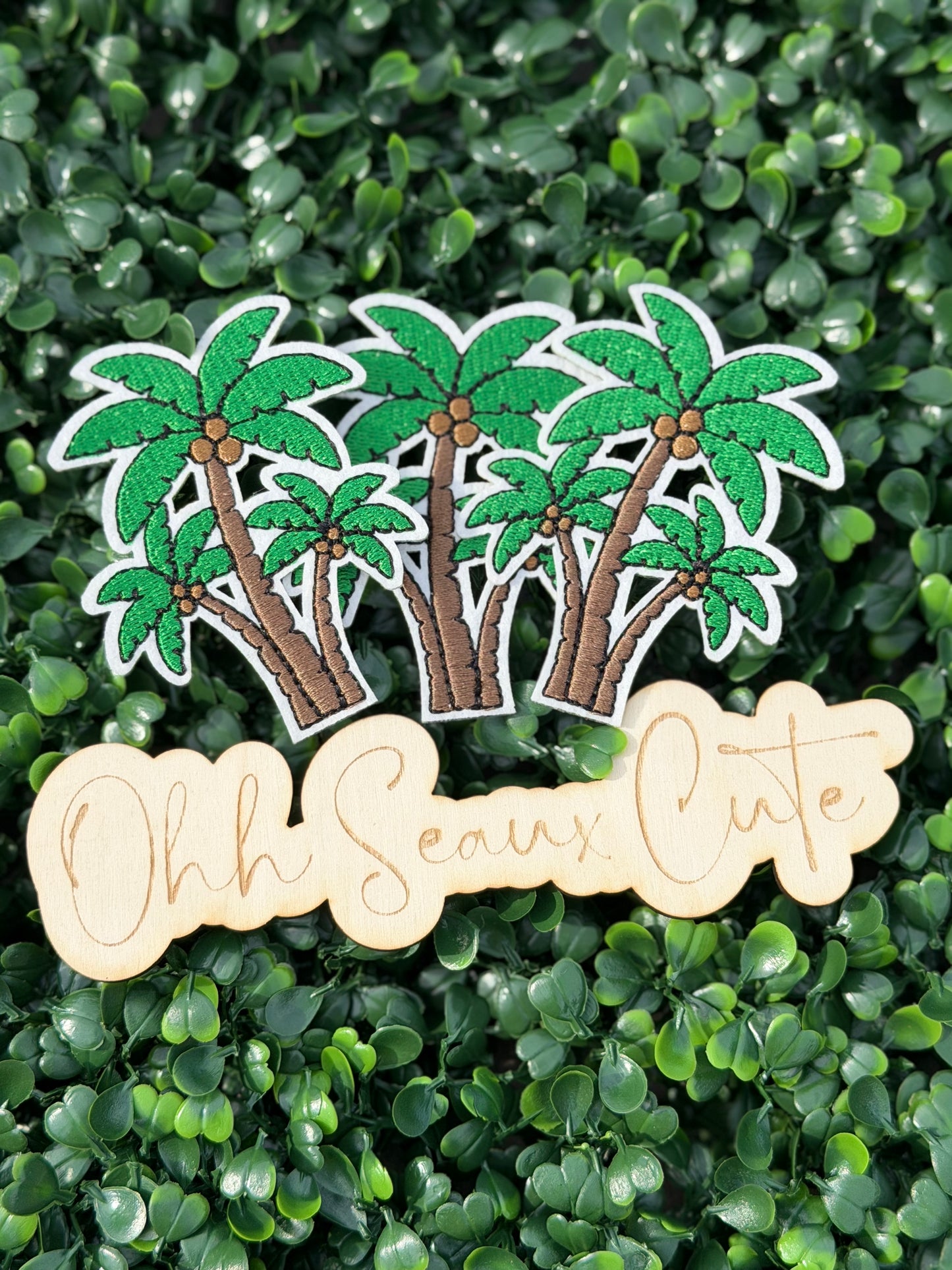 3.5” Palm Tree Trio